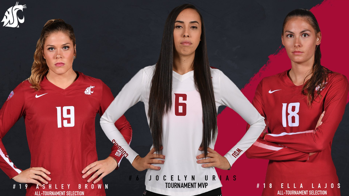 Foto: @wsuvolleyball