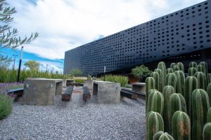 New Element University