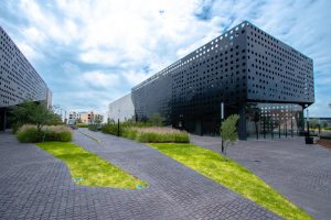 New Element University