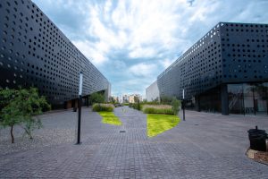 New Element University