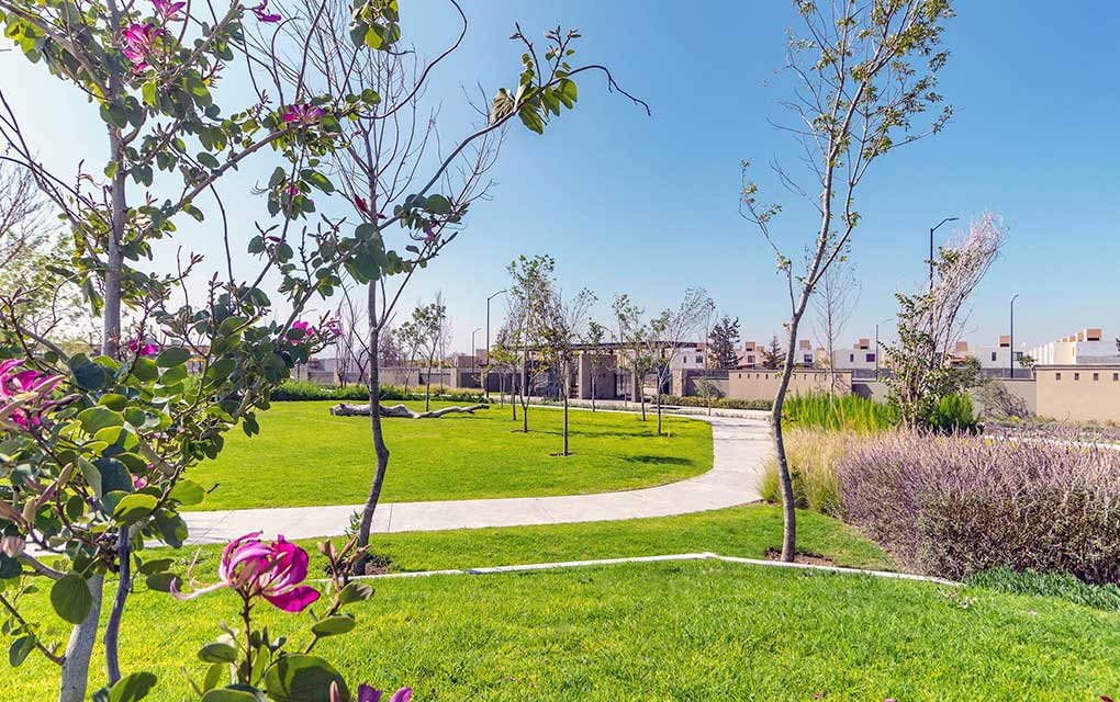 Hacienda Carlota, la mejor opción con la mejor ubicación