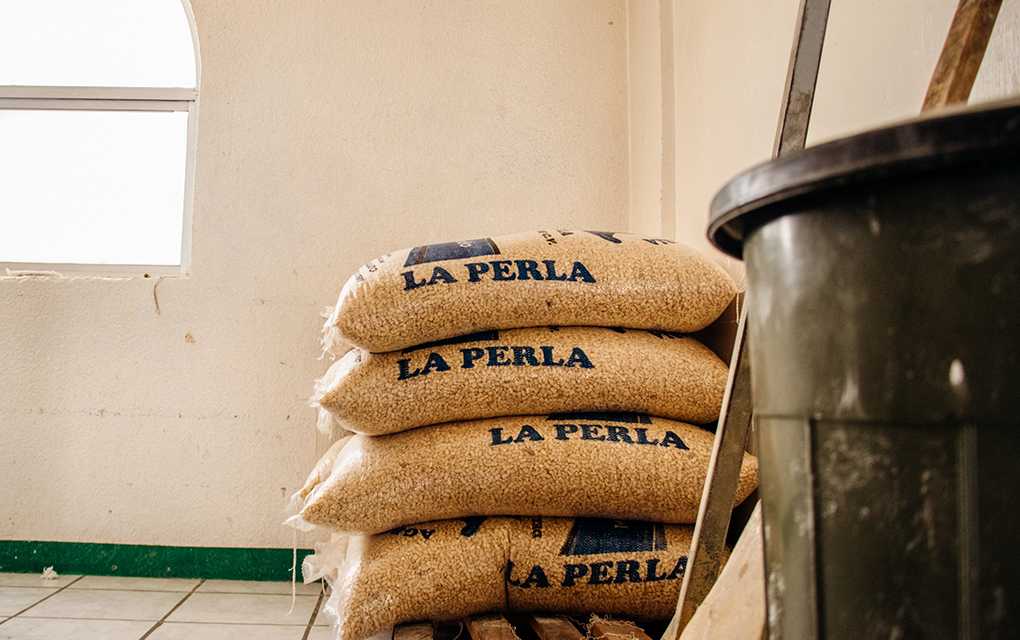 Solicite sus tortillas gratis: Los apoyos ante COVID-19