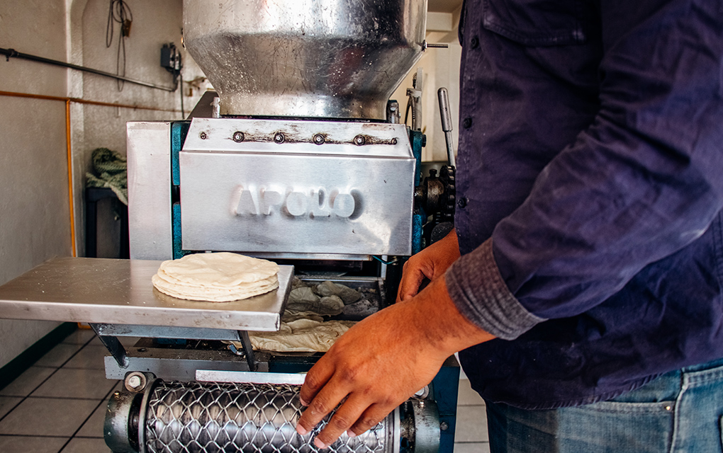 Solicite sus tortillas gratis: Los apoyos ante COVID-19