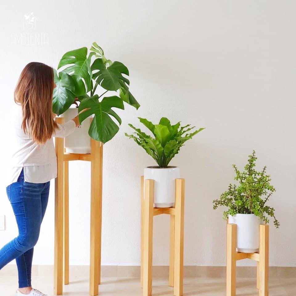 Ambienta Home Decor / Especial.