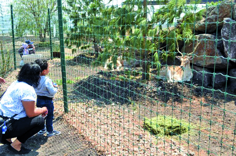 áreas naturales Querétaro Cortesía Gran Reserva