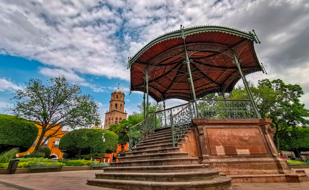 Jardín Zenea / Foto: Yarhim Jiménez.