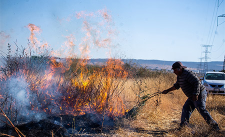 Viento, calor y sequía son factores de riesgo. Y. Jiménez