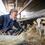 CARNE DE RES ( DE GRANJA) - Emisiones de gases invernadero (por kilo de comida): 21.09 kg Estudios revelan que, aunque el gas metano producido por las vacas tiene menor vida que el dióxido de carbono, es más potente a la hora de calentar la atmósfera.