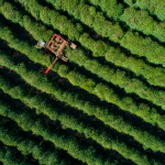 CAFÉ - Emisiones de gases invernadero (por kilo de comida): 16.48 kg La transportación es una de las razones por las que el café es de alto impacto ecológico. Si vive en un país productor de café, elimine a este alimento de su lista.