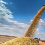 LECHE DE SOYA - Emisiones de gases invernadero (por kilo de comida): 0.91 kg Uno de los grandes beneficios de la leche de soya es el alimento que sustituye: la leche de vaca.