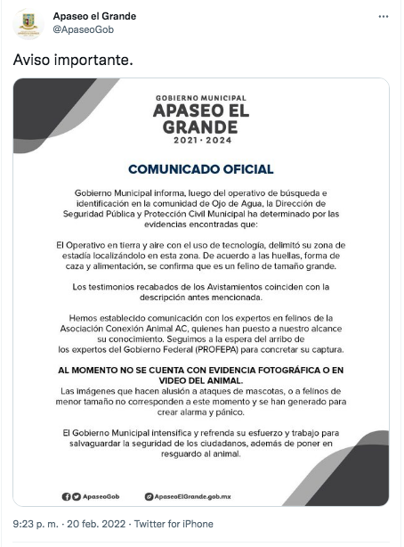 Monitorean zonas de Celaya donde se avistó un tigre 