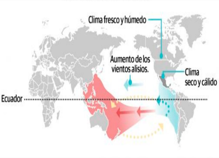 El fenómeno de 
