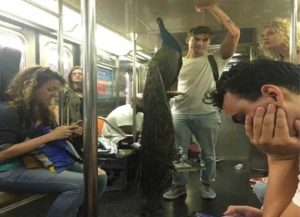 Llego el pavo