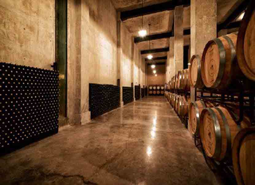 Los 10 mejores viñedos de Querétaro