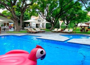 Flamingo Inn Hotel