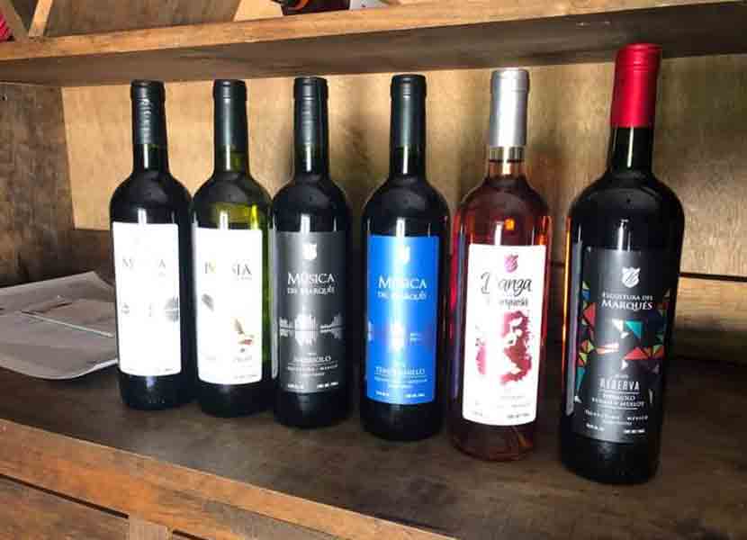 Los 10 mejores viñedos de Querétaro