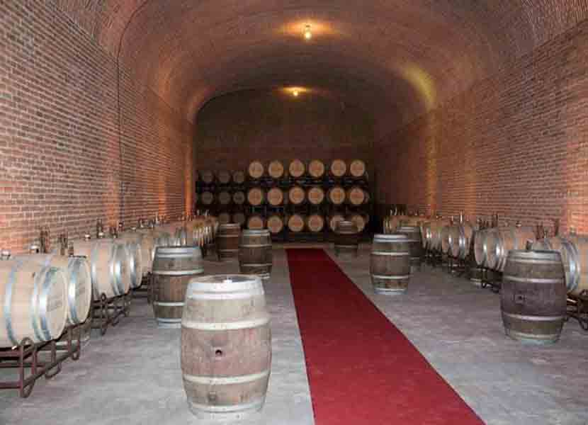 Los 10 mejores viñedos de Querétaro