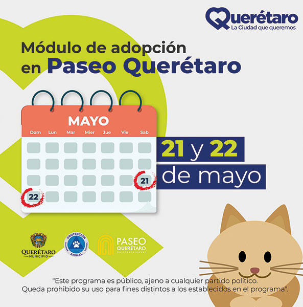 Conoce cómo puedes adoptar a tu nuevo mejor amigo en la Feria de Adopción