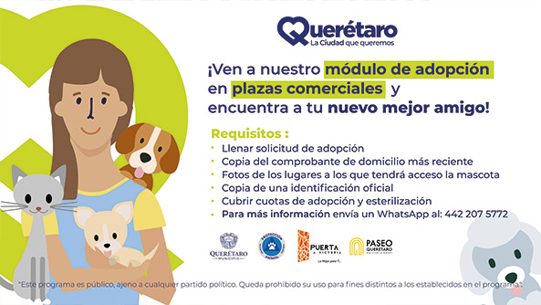 Conoce cómo puedes adoptar a tu nuevo mejor amigo en la Feria de Adopción