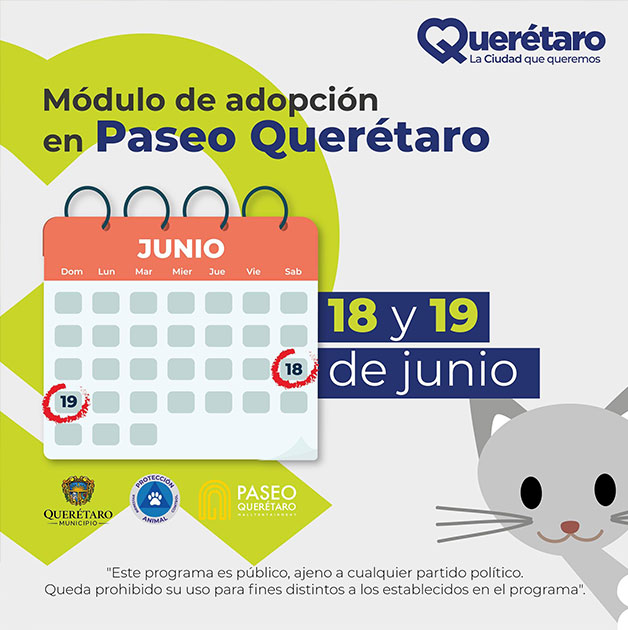 Adopta una mascota: Módulo llega a Paseo Querétaro este fin de semana