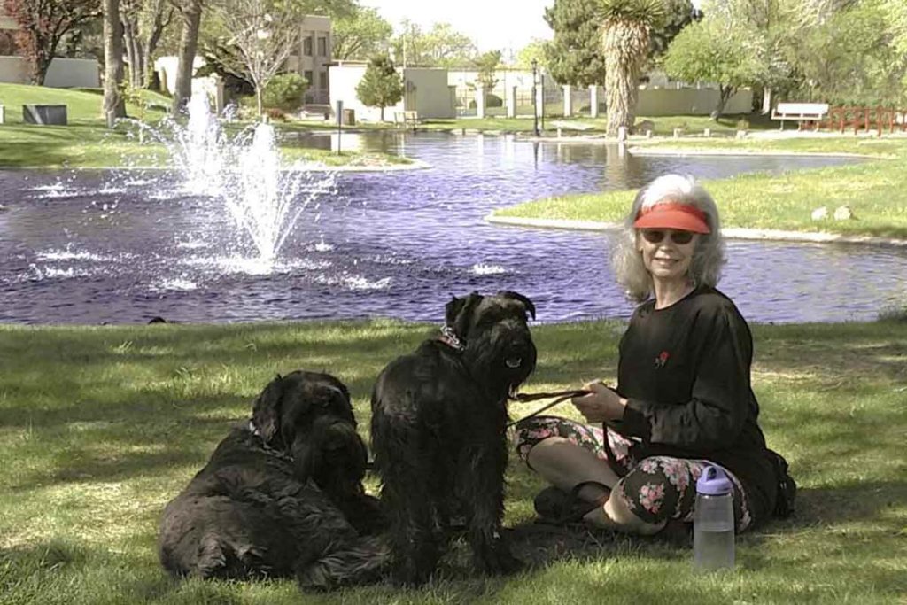 Día Mundial del Perro Conoce las 5 razas más populares en México