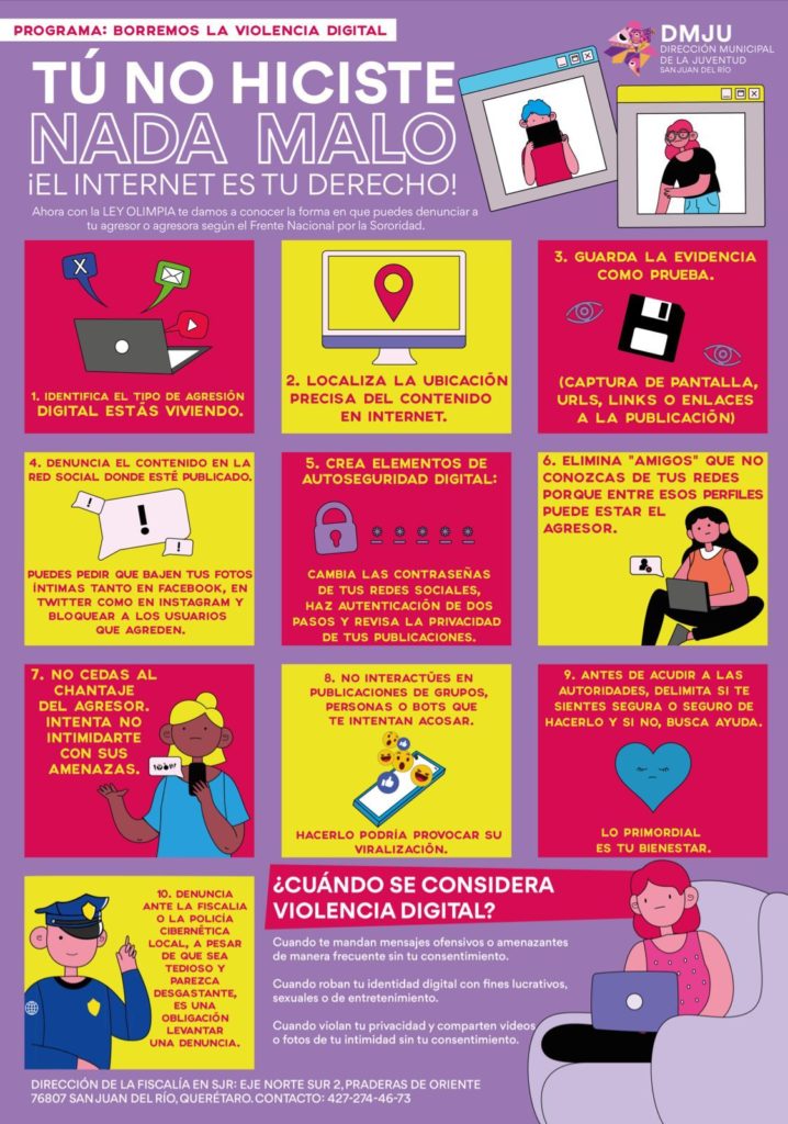Infografía Violencia Digital