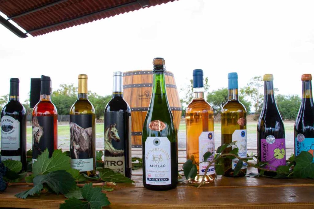 Vinos que se podrán encontrar en la vendimia 2022