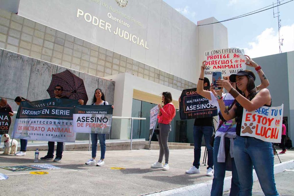 Asesino de Athos y Tango, recibió una condena de 10 años de prisión
