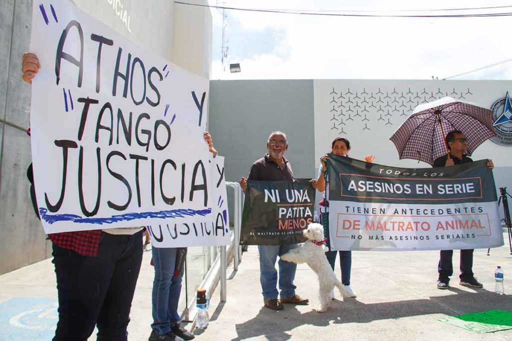 Asesino de Athos y Tango, recibió una condena de 10 años de prisión