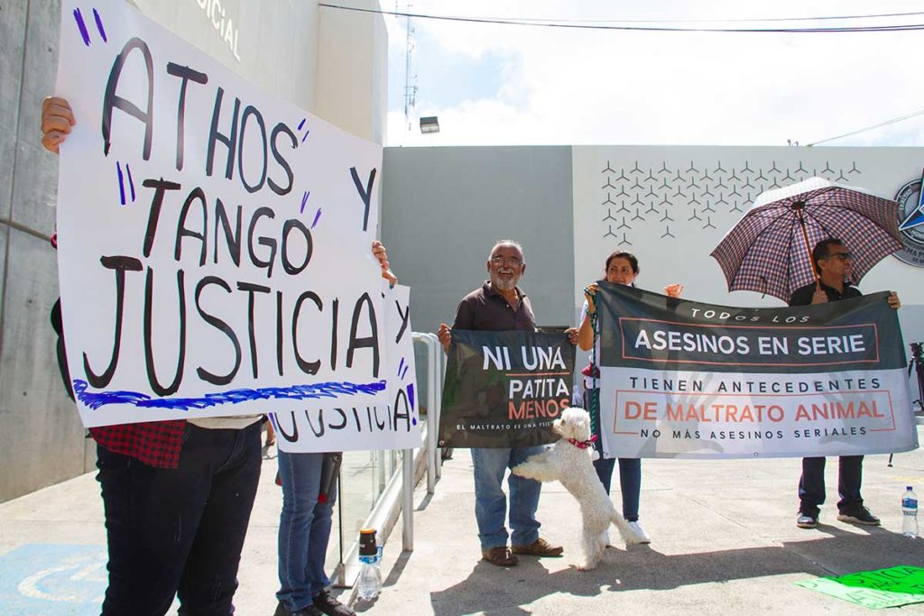 Declaran culpable a asesino de Athos y Tango