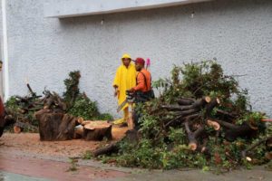 Lluvias en Querétaro inundan la avenida 5 de Febrero
