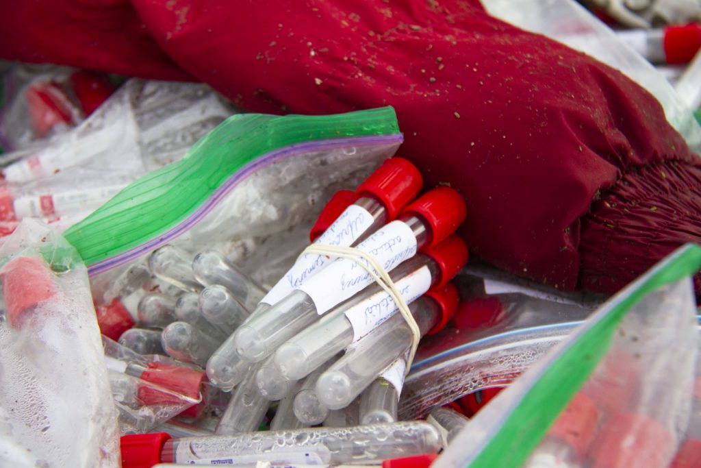Tiran muestras biológicas de laboratorio en predio en Querétaro