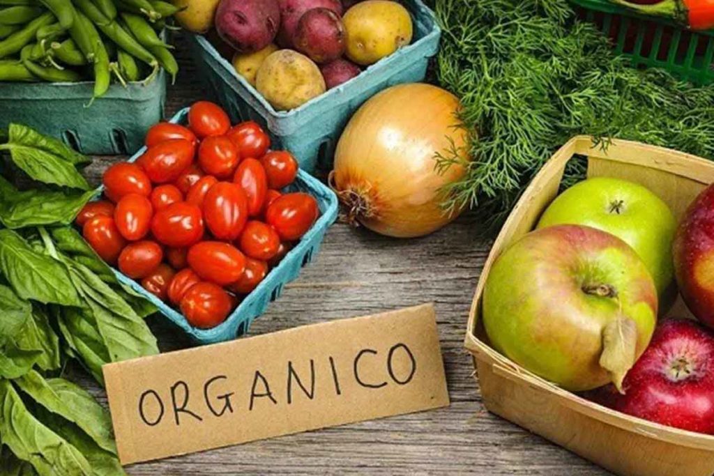 Urge que los mexicanos tengan una sustentable y sana alimentación
