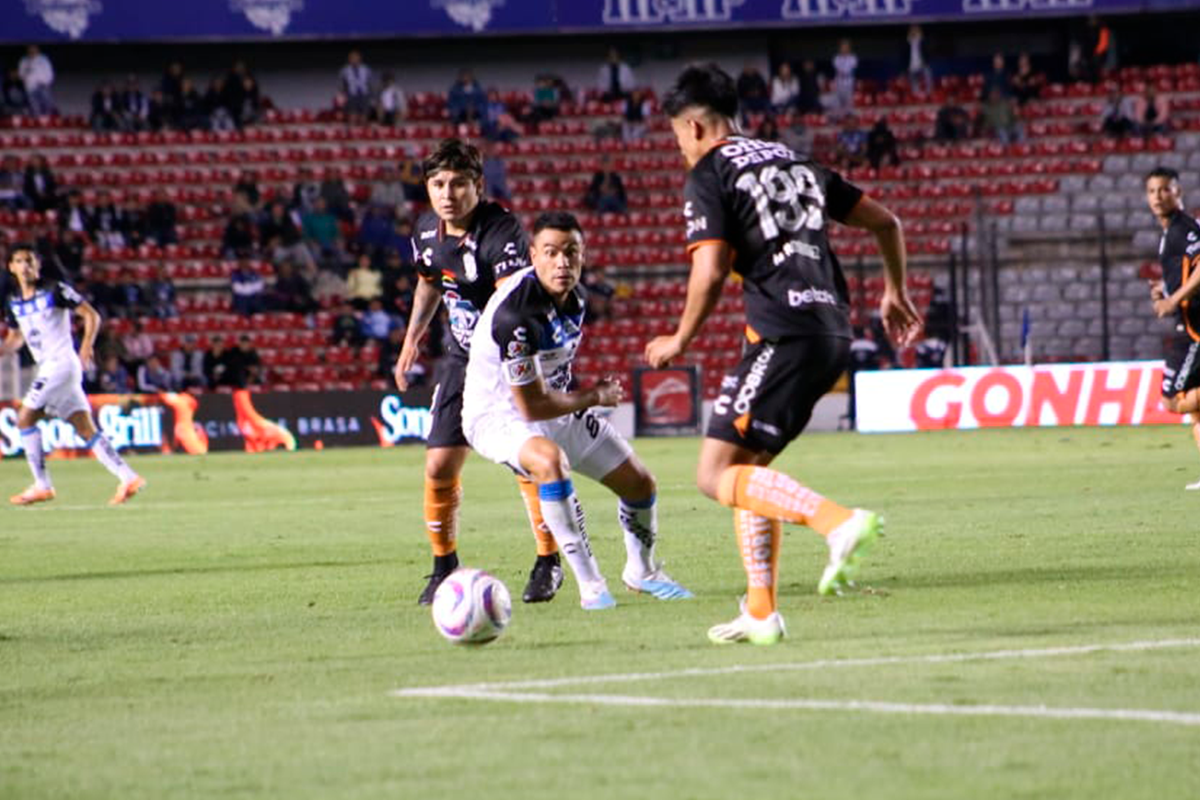Gallos Blancos