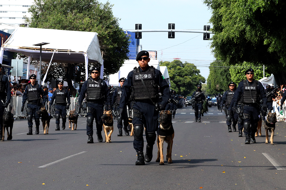 Desfile militar