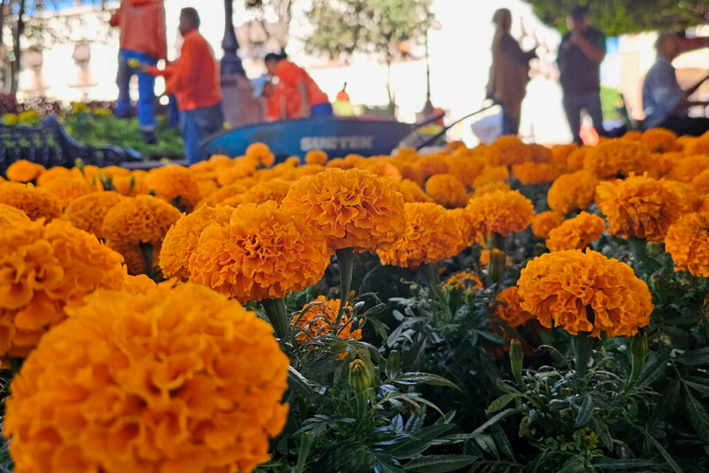 Querétaro