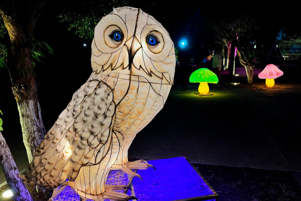 Un éxito el 5° Festival Huesos y Tradiciones en Corregidora