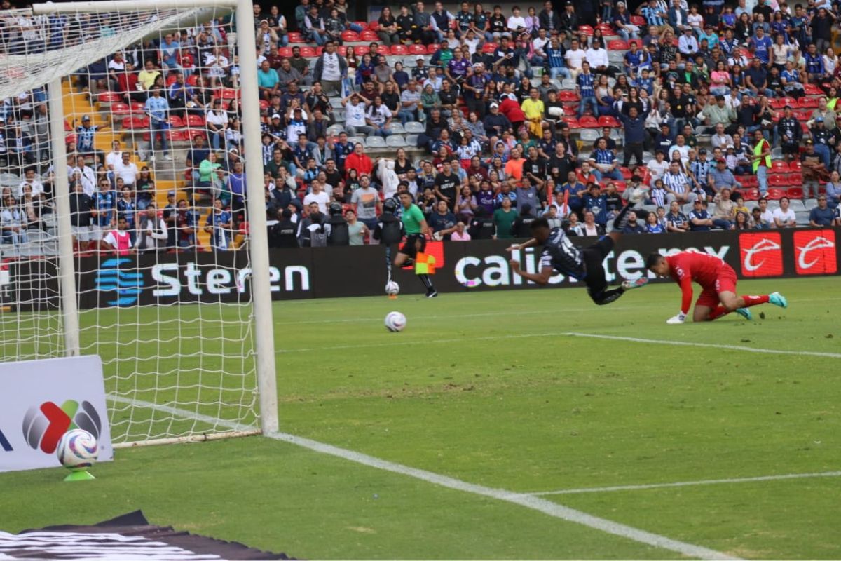 Gallos Blancos