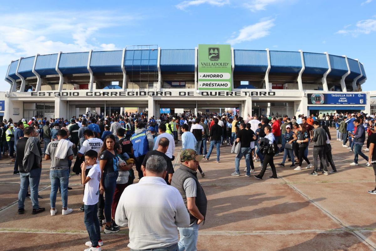 Gallos Blancos