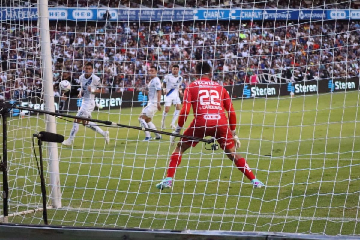 Gallos Blancos