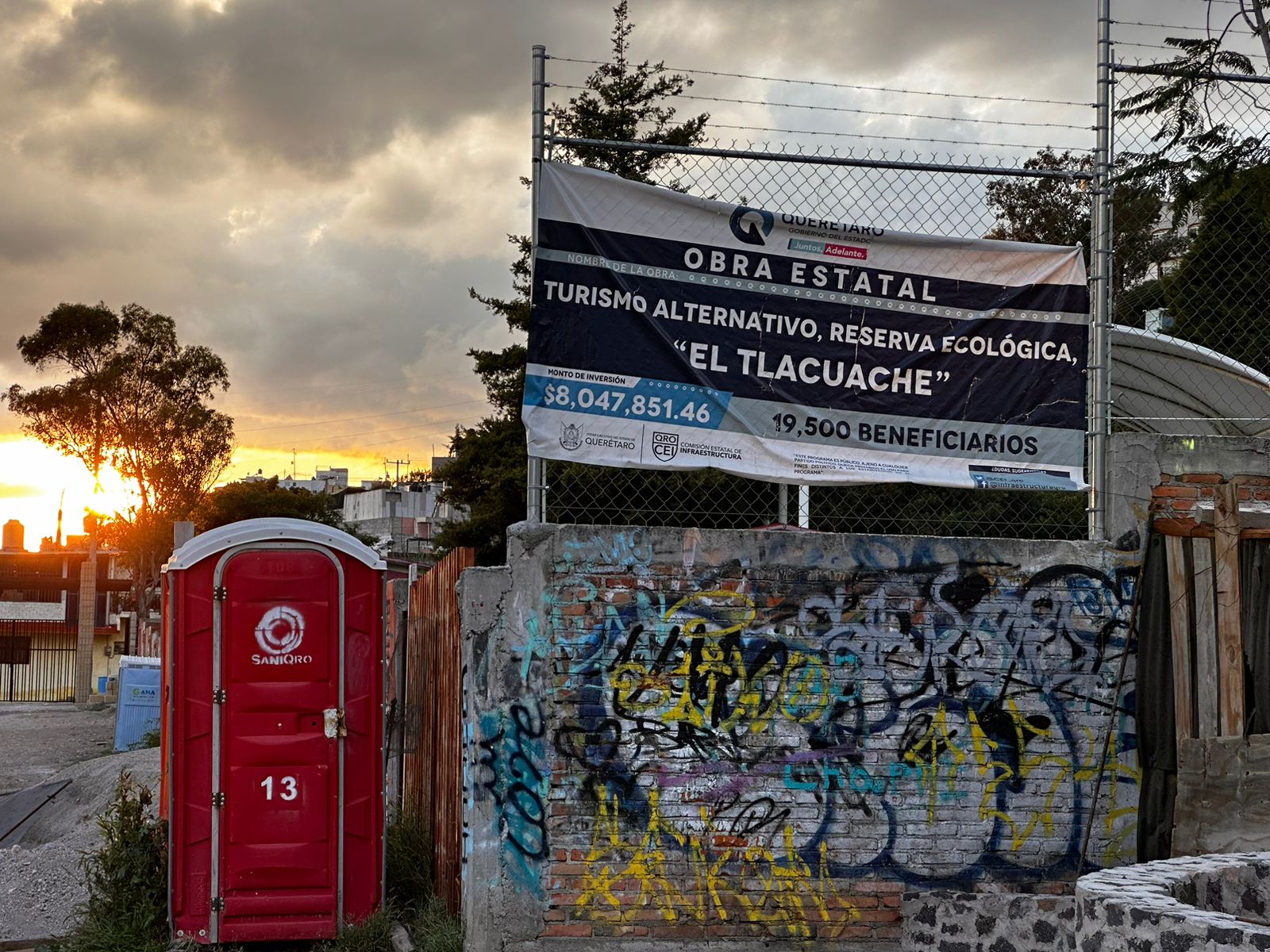 Árboles de 5 de Febrero trasplantados, secos/Foto: Mextli Moreno