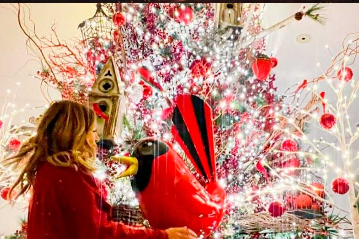 Fotogalería: Famosos presumen sus arboles navideños  