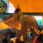 Fotogalería-así-se-vivió-la-Cabalgata-Navideña-2023