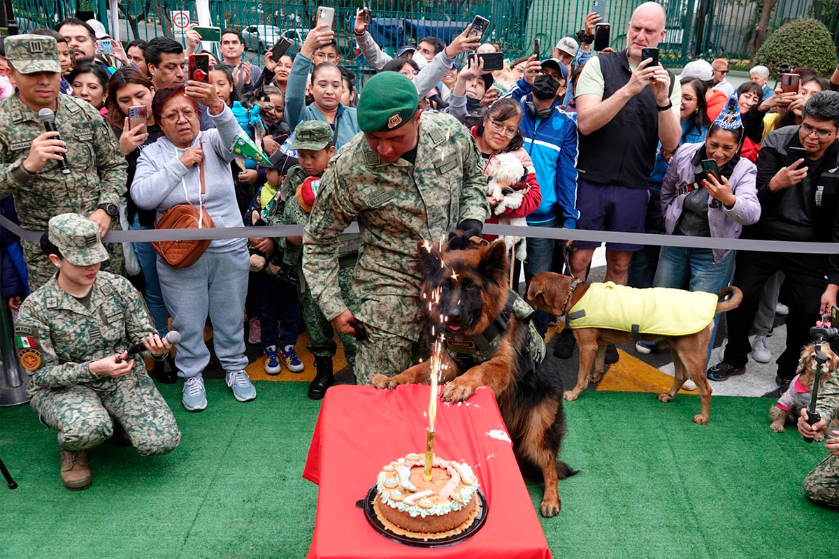 Arkadas en su primer cumpleaños