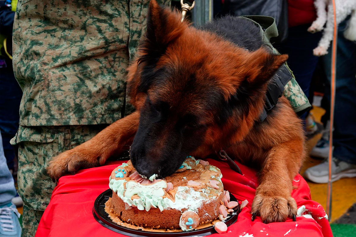 Sedena-organizó-la-fiesta-de-el-perro-rescatista
