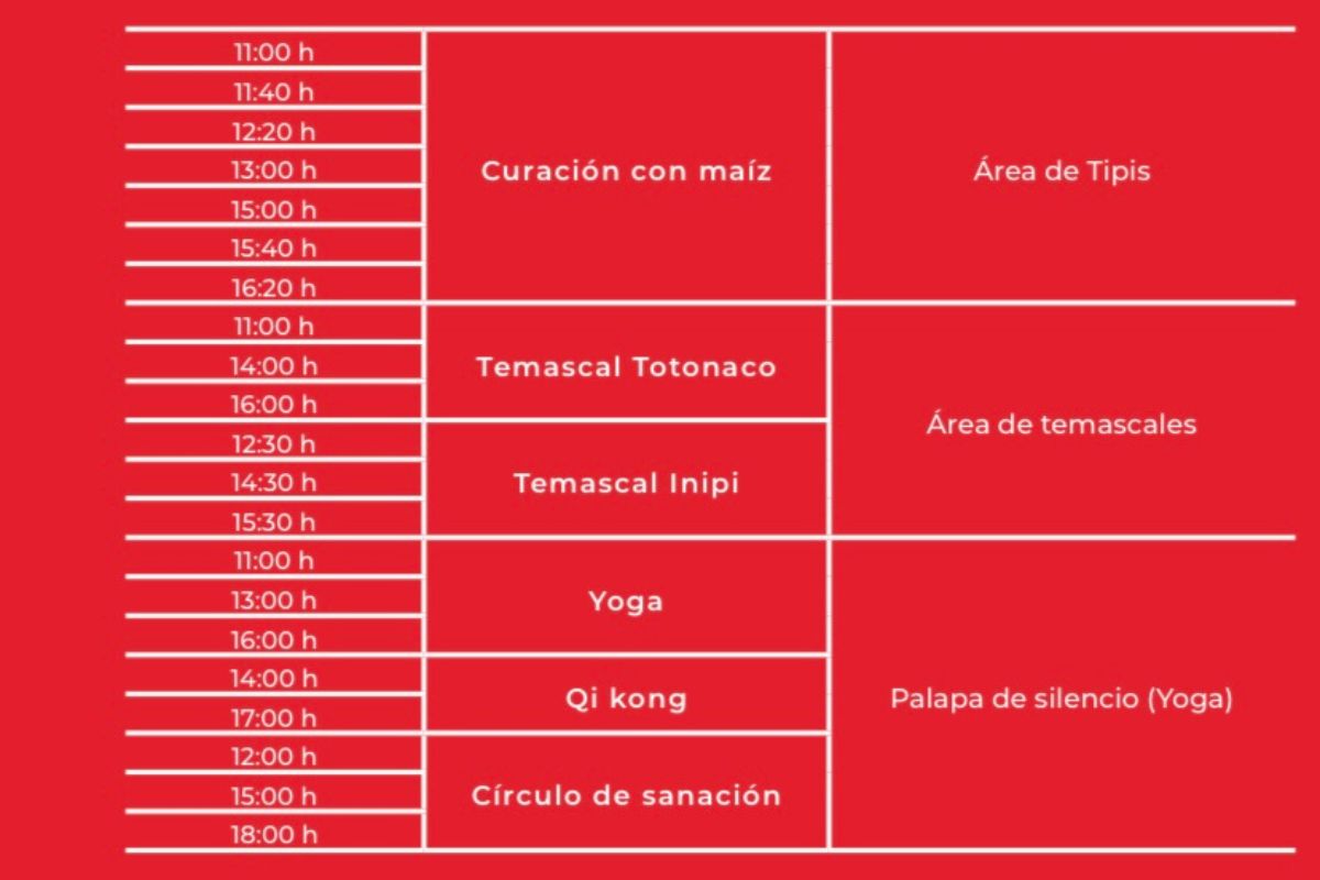 Cumbre Tajín: todo lo que debes saber sobre este festival cultural
