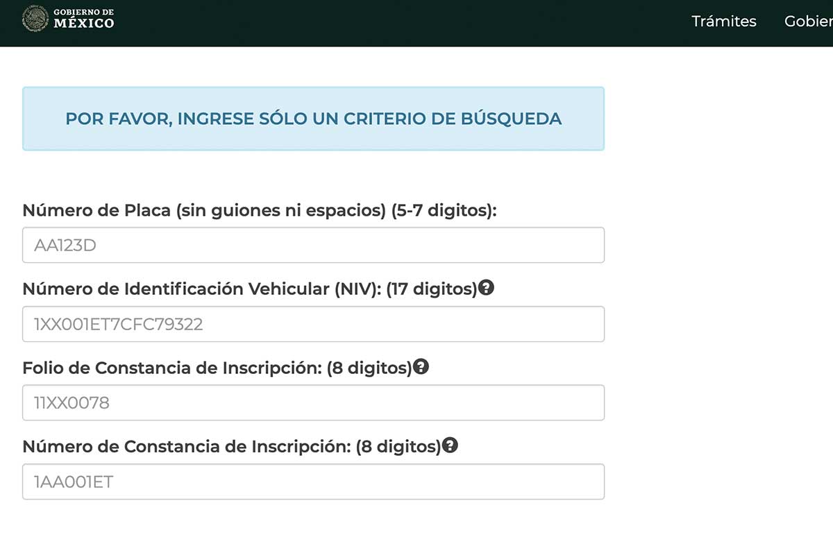 Consulta-Repuve