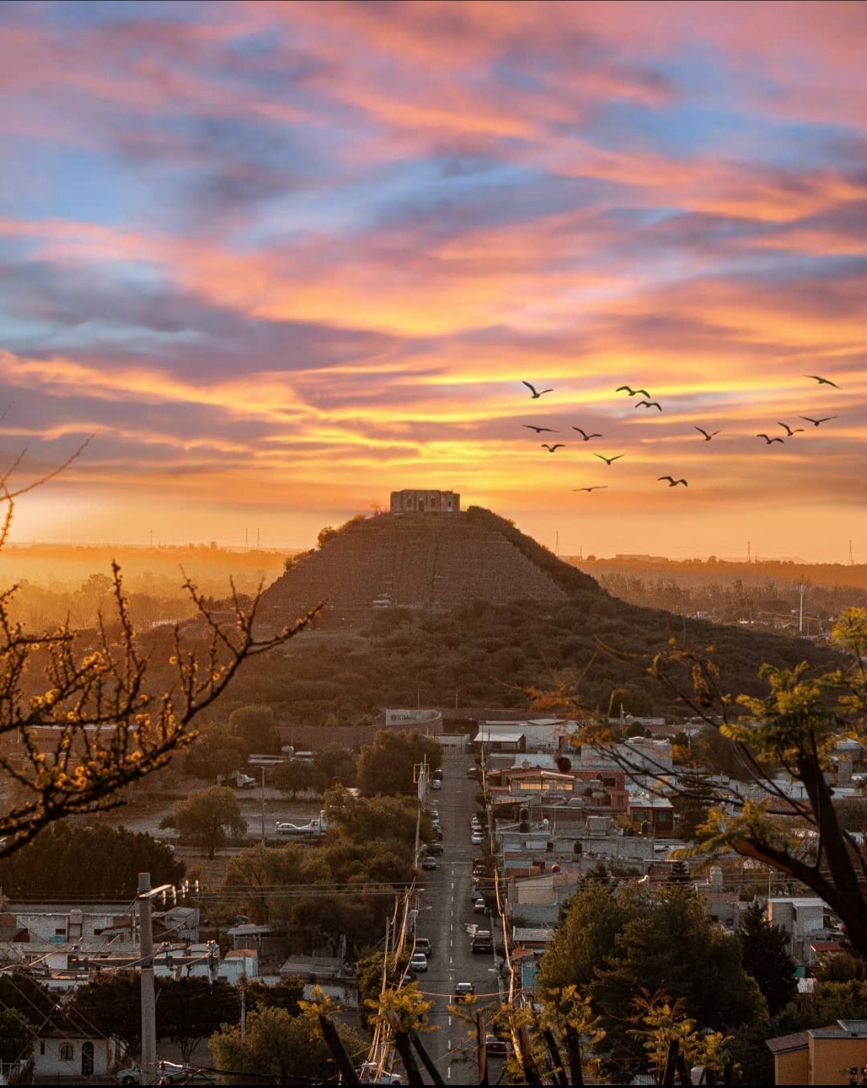 Desde sus raíces como bastión agrícola hasta su transformación en polo industrial, Corregidora encarna la esencia de Querétaro. 