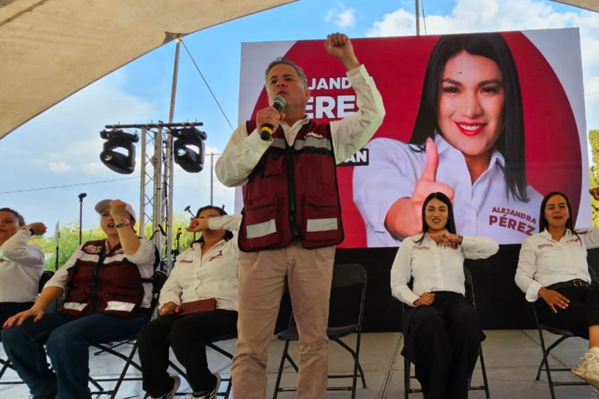 Elecciones 2024