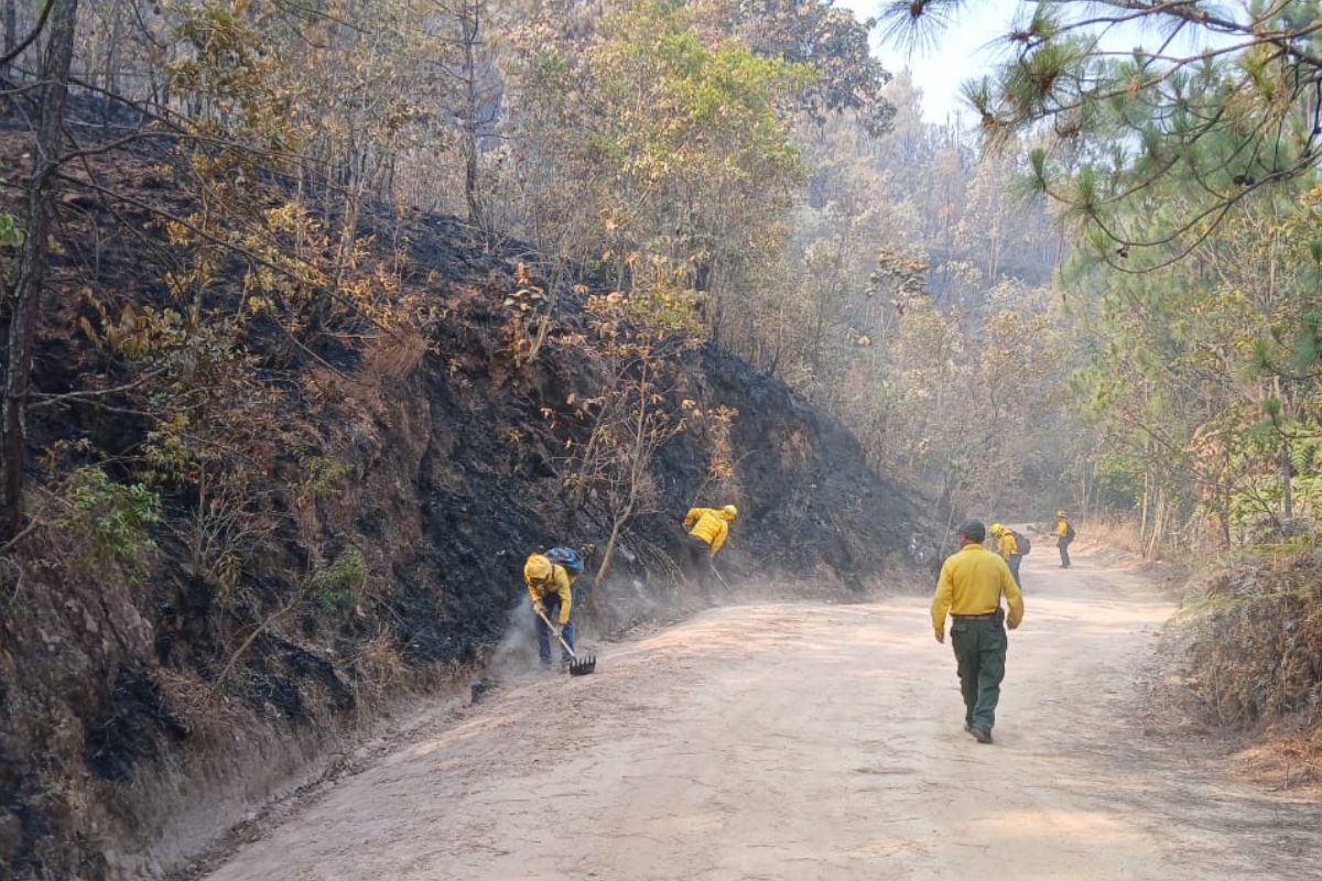 del 01 de enero al 26 de mayo en el Estado de México se han registrado mil 100 incendios forestales